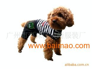 開拓歐洲寵物服裝市場 阿里巴巴平臺(tái)大批發(fā)供應(yīng)指南