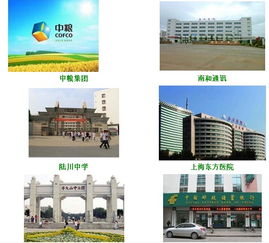 深圳數(shù)碼冰機(jī)王飲水機(jī) 智能生活的清涼伙伴